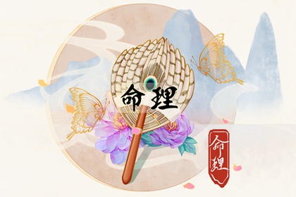 男孩叶取名字 起名神器免费 女儿起名大吉 起名分数 新生起名大全