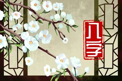 排盘报告阅读顺序