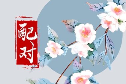 十二生姻缘配对 八卦看姻缘 抽签算姻缘 姻缘准不准 测姻缘好坏结果