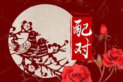 日干情缘与天干五合