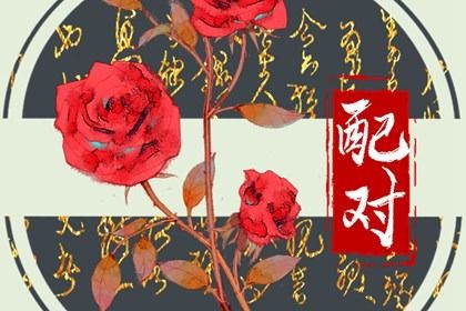 黄道吉日万年历大全 2026年黄道吉日查询 日历黄道吉日