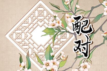 星座配对(民俗参考)
