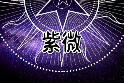 如何读本页结果